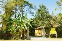 Nature Safari Resort Hotels in Bardia