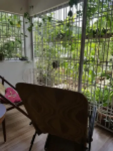 Madhumita Homestay Hotel a 