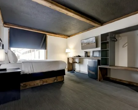 ホテル LEX, トレードマーク コレクション バイ ウィンダム レキシントンのホテル