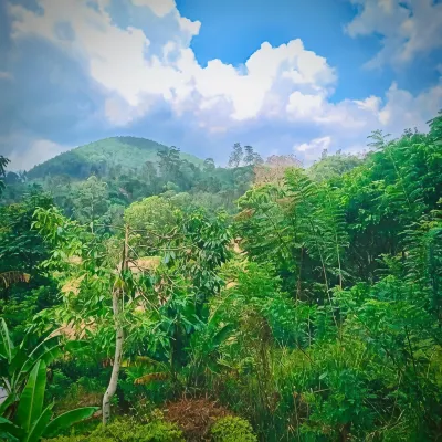 Ella Willow Cottage Hôtels à : 