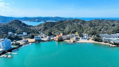 ホテル周辺 胡蝶蘭の写真