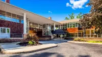 Best Western Plus the Inn  Suites at the Falls Hotels near Vassar College