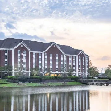 麥迪遜傑克森希爾頓花園酒店 酒店