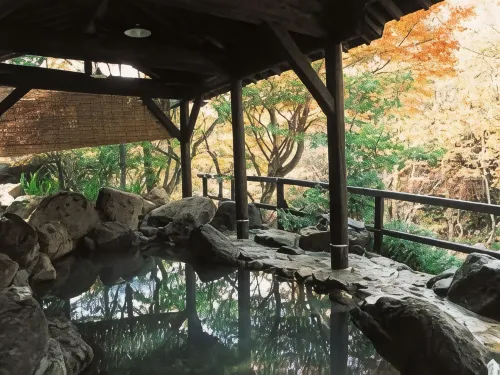 Mori No RyoTei Mount Bandai - con vista montagne