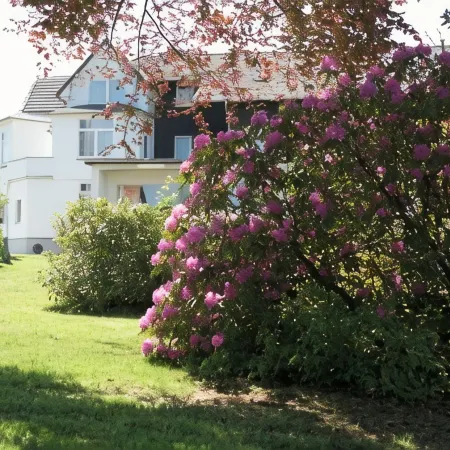 Berghotel Harz