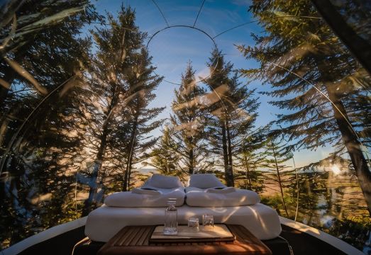 자연 속 버블 호텔