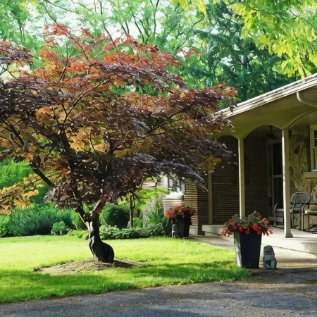 Perfect Getaway - Your Sanctuary Among Nature