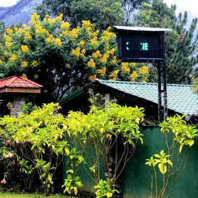 Hamadhi Guest Hotel Exterior