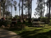 Espacioso Depto en Costa Algarrobo - Homestays