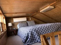 Tiny house in the woods. Pet-Friendly! - 3-Star