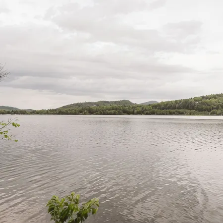 Family-friendly, Luxury Log Cabin Nestled in the Woods - 10 Mins to Sunday River