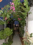 Apartment/ flat - Cala Gonone - 2 stelle