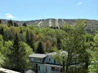 Studio 3 BEDS-SLP 3. Downtown Windham. Next to the Ski Resort. Close to Hunter Hotels in Виндхам