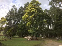 Kymmik Cottage - A slice of Tasmanian paradise
