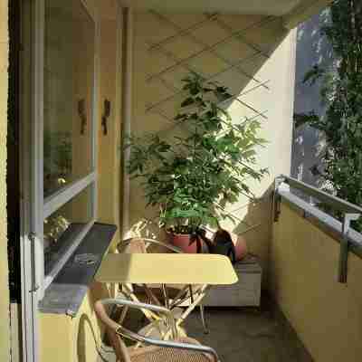 Charming apartment near Kudamm Others
