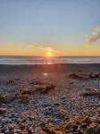 Westie on the West Coast - Private, Free WIFI, Entire Cottage - 2-Star