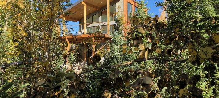 Ski-access and view Chair 5 runs from cabin in Brian Head, UT ブライアン・ヘッドのホテル