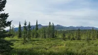 泰加達納利國家公園邊緣-壯麗山景度假屋