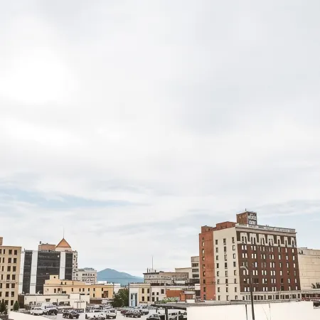 Cozy Condo in Downtown Roanoke VA