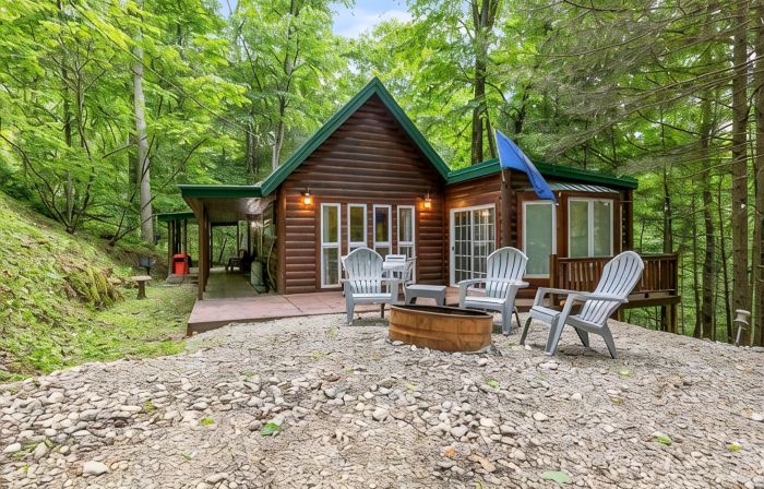 Fern Gulley Cabin with Hot Tub, Pet Friendly,  near DBBB / Hollerwood