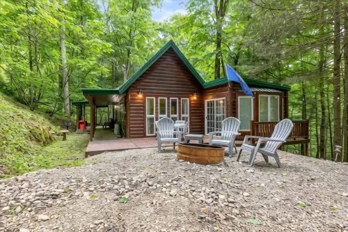 Fern Gulley Cabin with Hot Tub, Pet Friendly,  near DBBB / Hollerwood