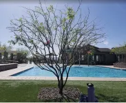 Beautiful Home - piscine