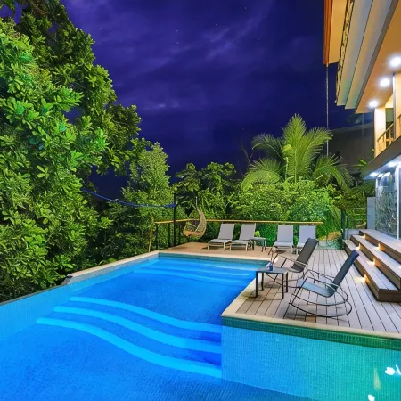 Breathtaking Jungle Views and Abundant Wildlife - Large pool.