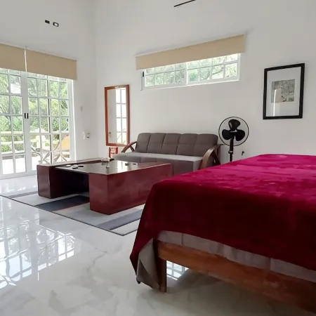 CASA XOLA BIRDWATCHING AND CENOTE LOFT <br>LUXURY IN THE JUNGLE.<br>5 min from reefs!