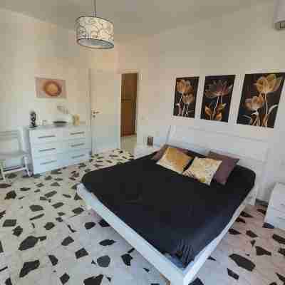 Ample accommodation between Rome, Ciampino and Fiumicino airports, Palatorrino, Ostia Rooms