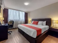 Comfort Inn San Luis Potosi Hotel in zona Centro Eventi El Domo