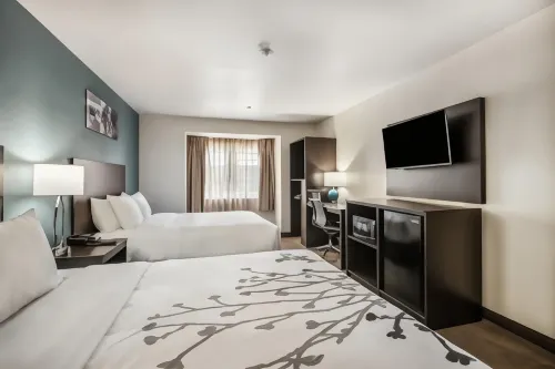 Sleep Inn & Suites Tallahassee-Capitol - acceptant les animaux