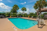 Comfort Inn & Suites Wildwood - the Villages - Pool