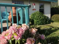 Cottage by the Sea June 2-17Available - Wifi