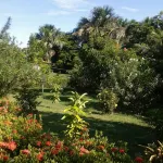 Pousada Murici - de playa
