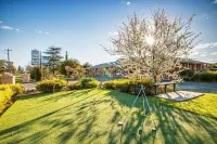 Ashleigh Court Motor Inn - Wifi