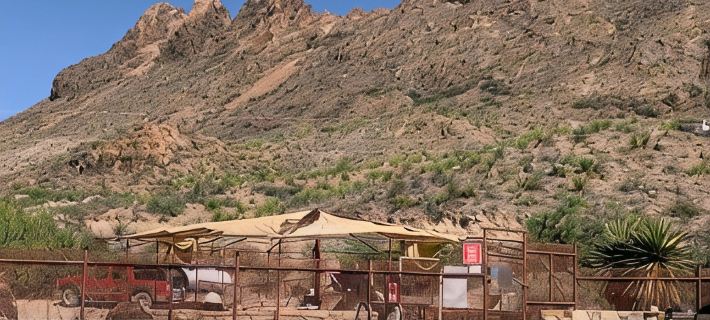Southern Boho inspired Geodesic Dome nestled up next to Big Bend National Park. Hotels in Brewster County