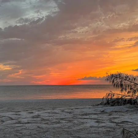 Beachfront 2B/1B -  Newly Remodeled Ground Floor  Unit. Right on the Beach. M