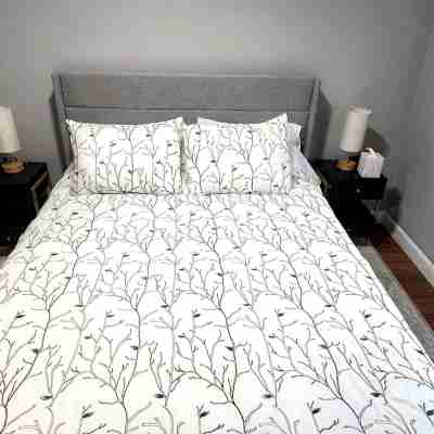 Cozy second floor unit in the heart of Downtown Charlevoix, 1BR / 1BA sleeps 4 Rooms