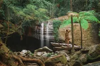 Amore on Buderim Rainforest Cabins - 4-نجوم