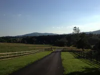 Pete's Place: Forest retreat near wineries, Blue Ridge School, and Shenandoah NP - 3つ星