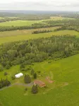 Spacious, Secluded Sanctuary!  Very Clean!  5 Queen Beds!  Wildlife Viewing. - Wi-Fi