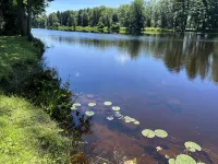 Riverside cabin with excellent kayaking and fishing - Alphydda