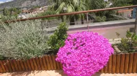 Seven Hostel & Rooms - Hostels