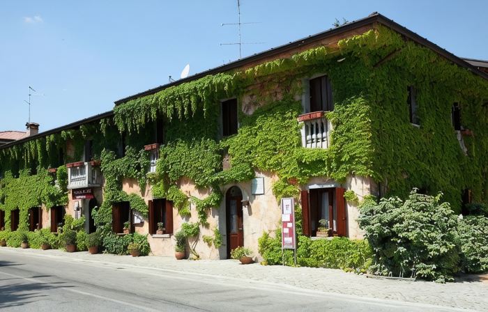 Principato di Ariis (Ristorante Hotel Bar)