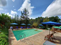 Lawns Hotel - Pools
