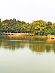 상하이 스노우랑 호수 생태 공원