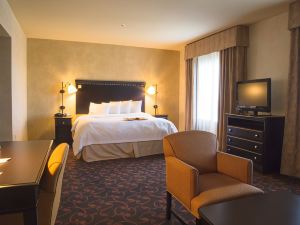 Hampton Inn & Suites Dallas-Arlington North-Entertainment District