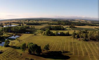 Hunter Homestead, Lovedale