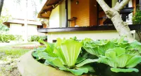 Baan Pun Sook Resort