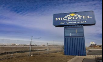 Microtel Inn & Suites by Wyndham Sioux Falls